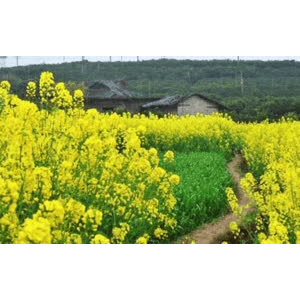 旅行风景736