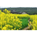 旅行风景736
