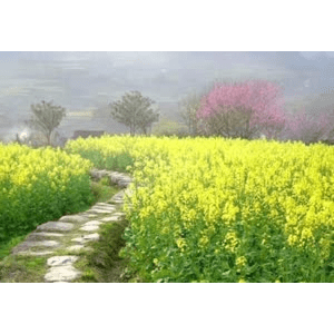 旅行风景739