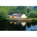 旅行风景746