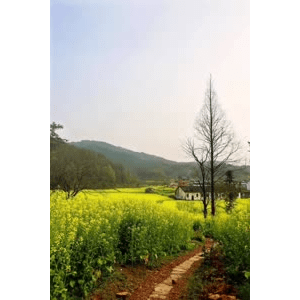 旅行风景754