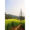 旅行风景754