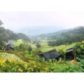 旅行风景756