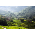 旅行风景760