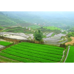 旅行风景768