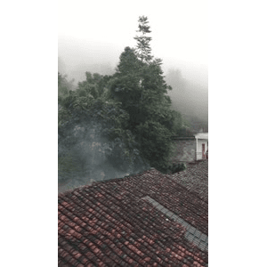 旅行风景770