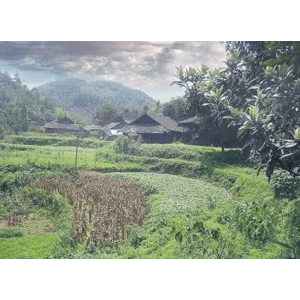 旅行风景773
