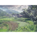 旅行风景773