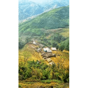 旅行风景775