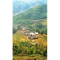 旅行风景775