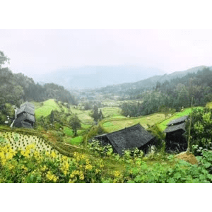 旅行风景777