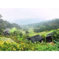 旅行风景777