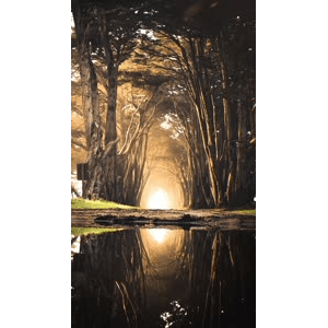 旅行风景785