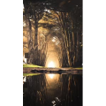旅行风景785