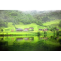 旅行风景789