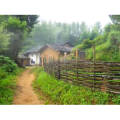 旅行风景793