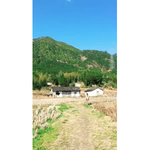 旅行风景800