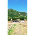 旅行风景800