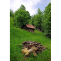 旅行风景805