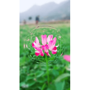 旅行风景820