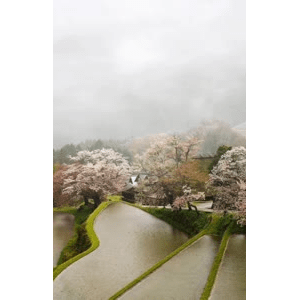旅行风景827