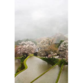 旅行风景827