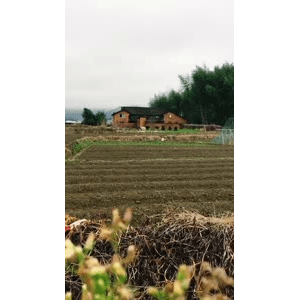 旅行风景829