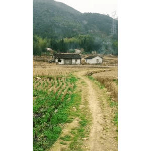 旅行风景831
