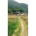 旅行风景831
