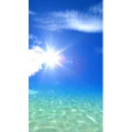 旅行风景832