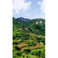 旅行风景834
