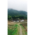 旅行风景837