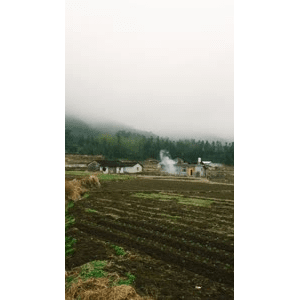 旅行风景844