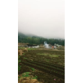 旅行风景844