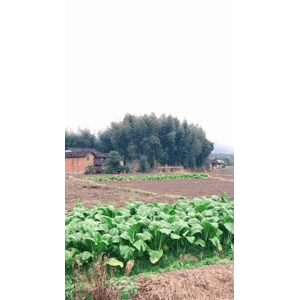 旅行风景848