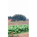 旅行风景848