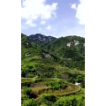 旅行风景851