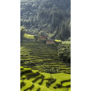旅行风景860