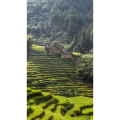 旅行风景860