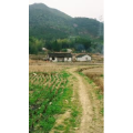 旅行风景862