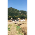 旅行风景864