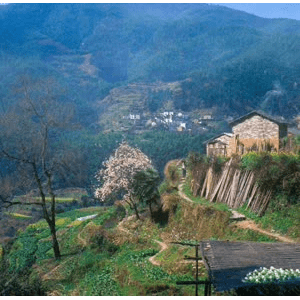 旅行风景878