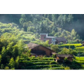 旅行风景882