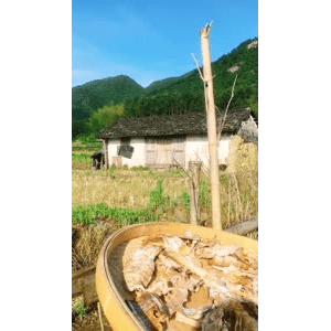 旅行风景884