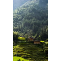 旅行风景888