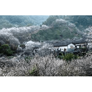 旅行风景889