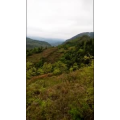 旅行风景893