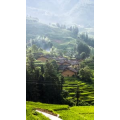 旅行风景894