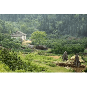 旅行风景902