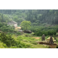 旅行风景902